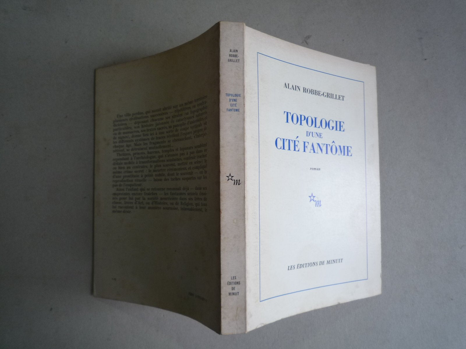 Topologie D'Une Cité Fantome Contemporary literature
