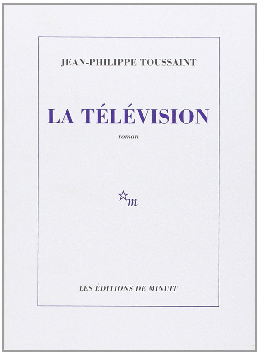 Television Contemporary literature