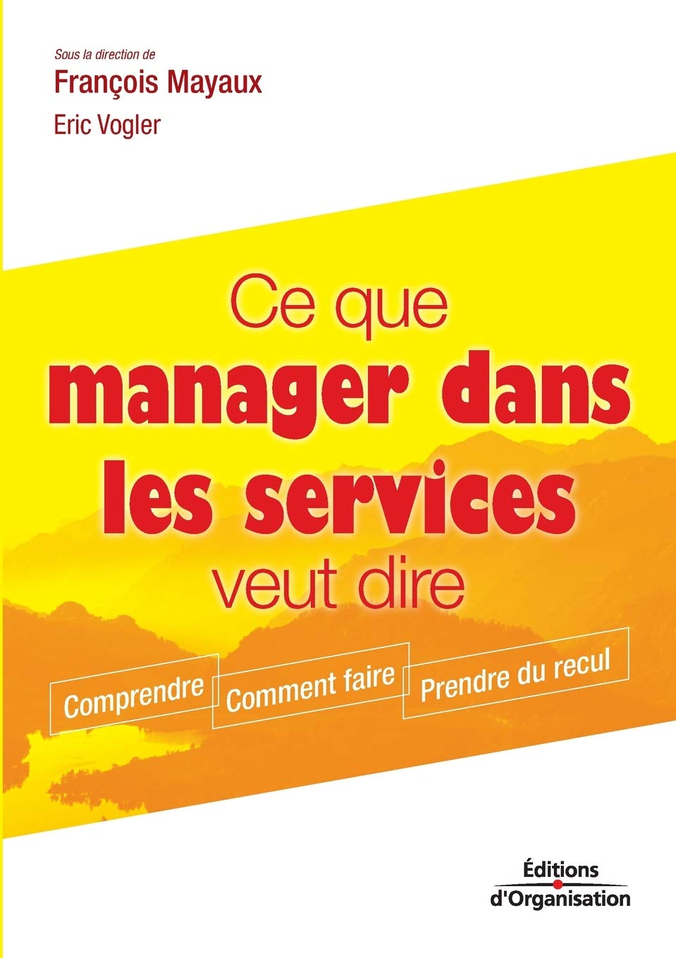 Ce que manager dans les services veut dire: Comprendre - Comment faire - Prendre du recul book