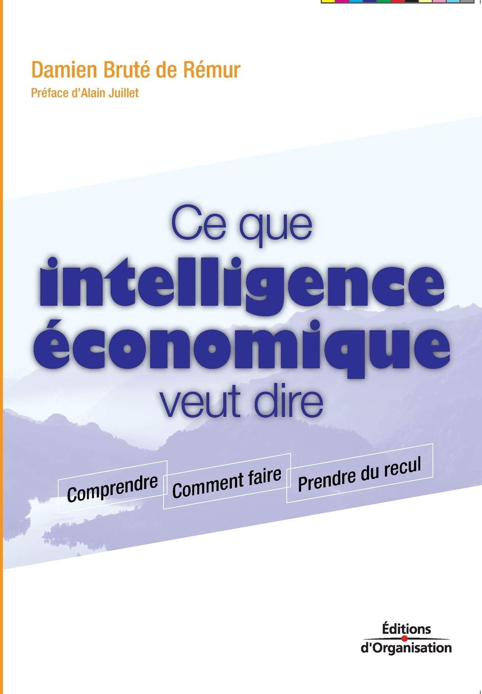 Ce que intelligence économique veut dire: Comprendre - Comment faire - Prendre du recul book