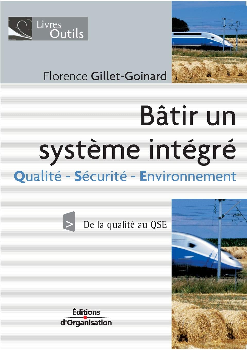 Bâtir un système intégré: Qualité - Sécurité - Environnement - De la qualité au QSE book