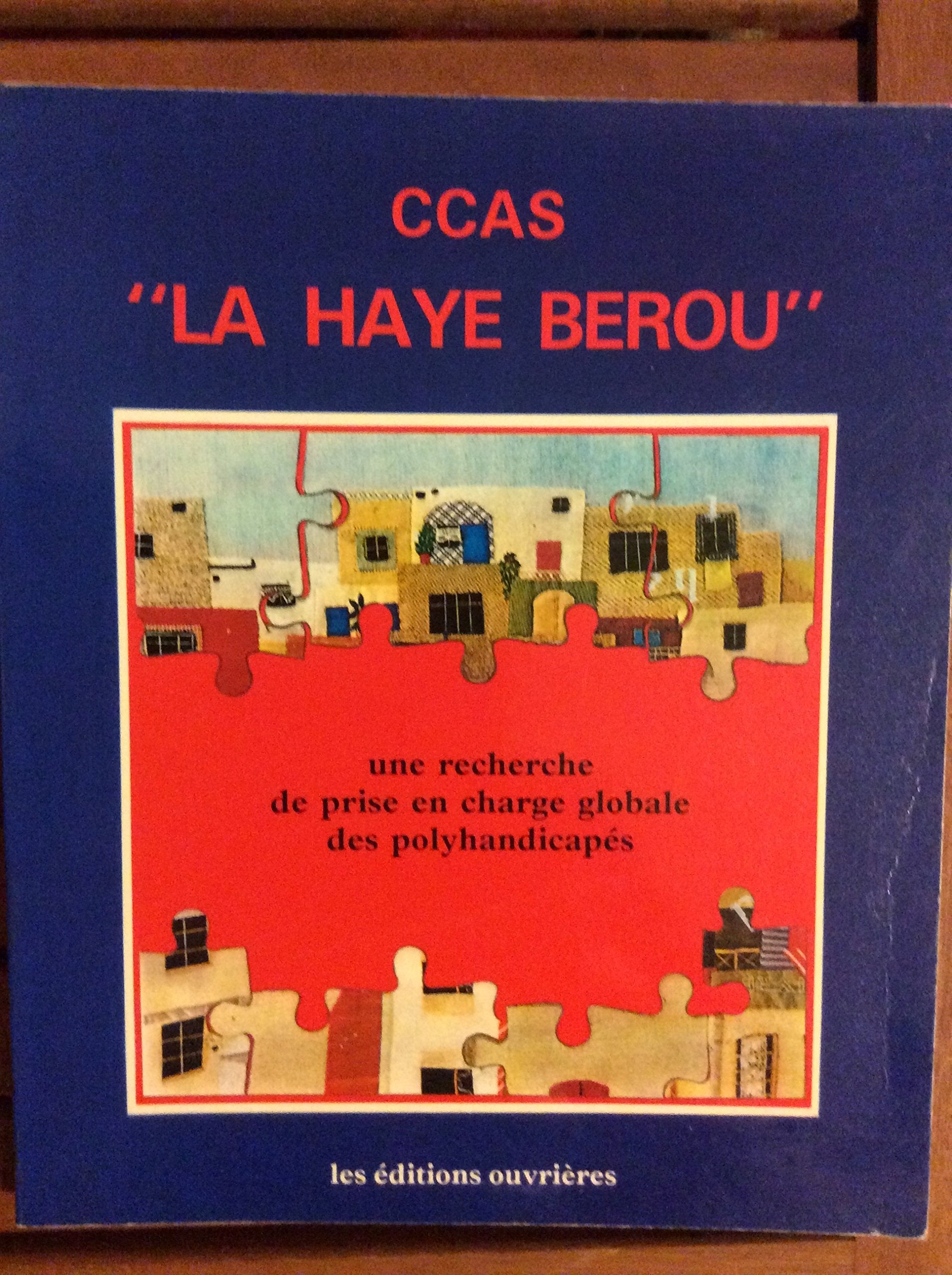 La Haye Bérou : Une recherche de prise en charge globale des polyhandicapés book