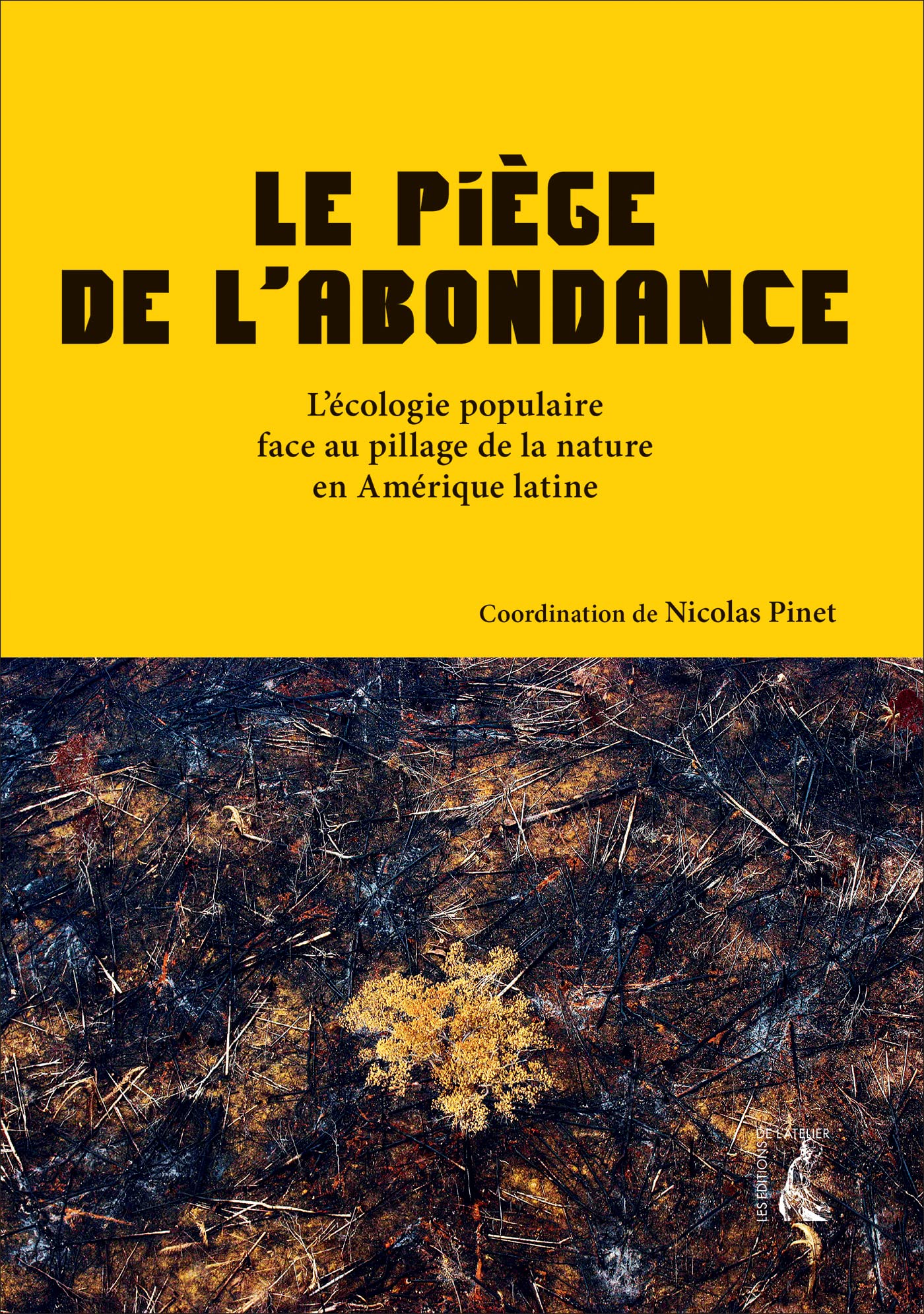 Le piège de l'abondance: L'écologie populaire face au pillage de la nature en Amérique latine book