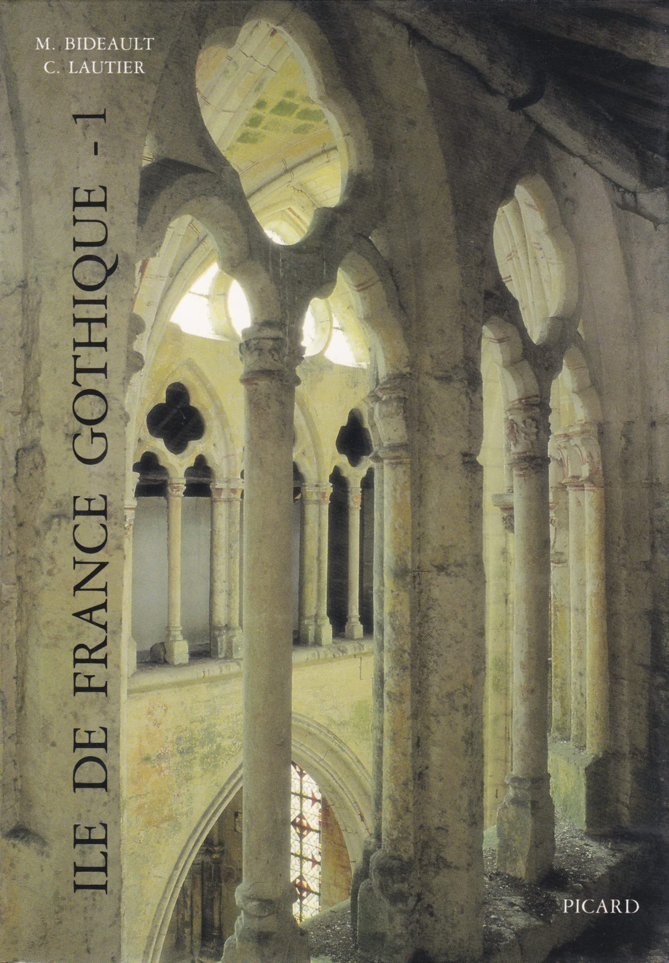 Île-de-France gothique. Les églises de la vallée de l'Oise et du Beauvaisis, volume 1 book