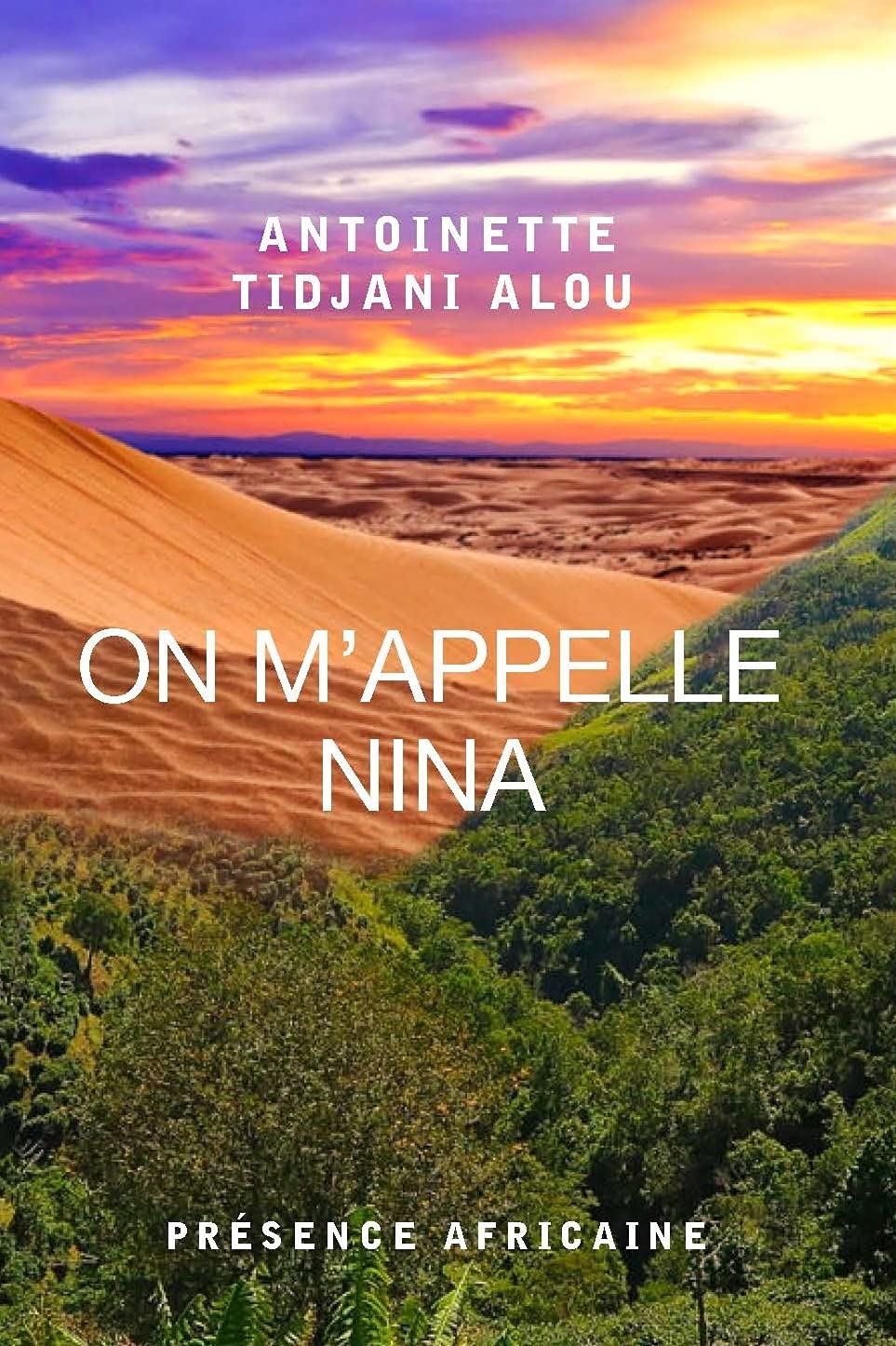 ON M'APPELLE NINA Contemporary literature