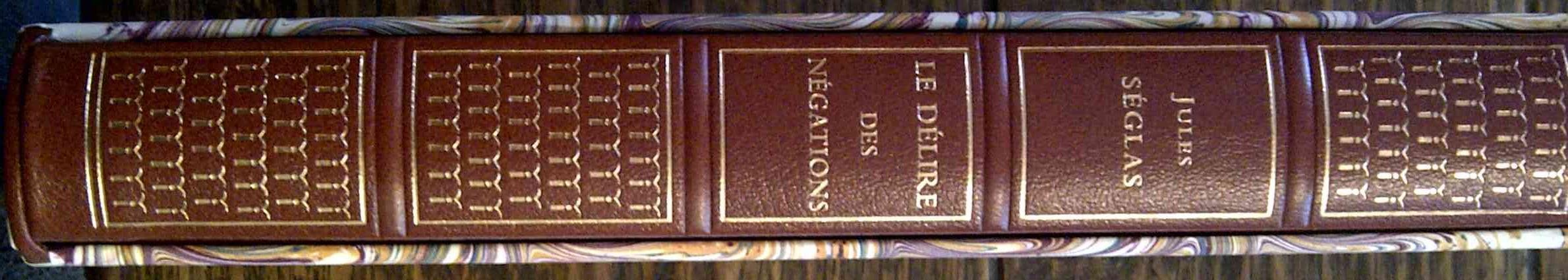 Le délire des négations (Textes fondateurs de la psychiatrie française) book