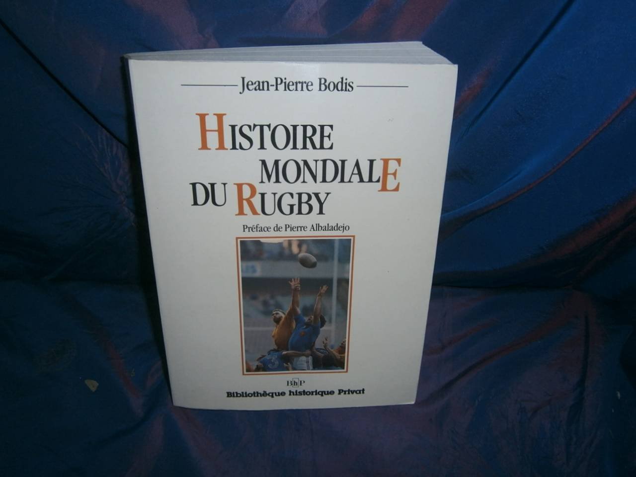 Histoire mondiale du rugby : dimensions économiques et sociales Books