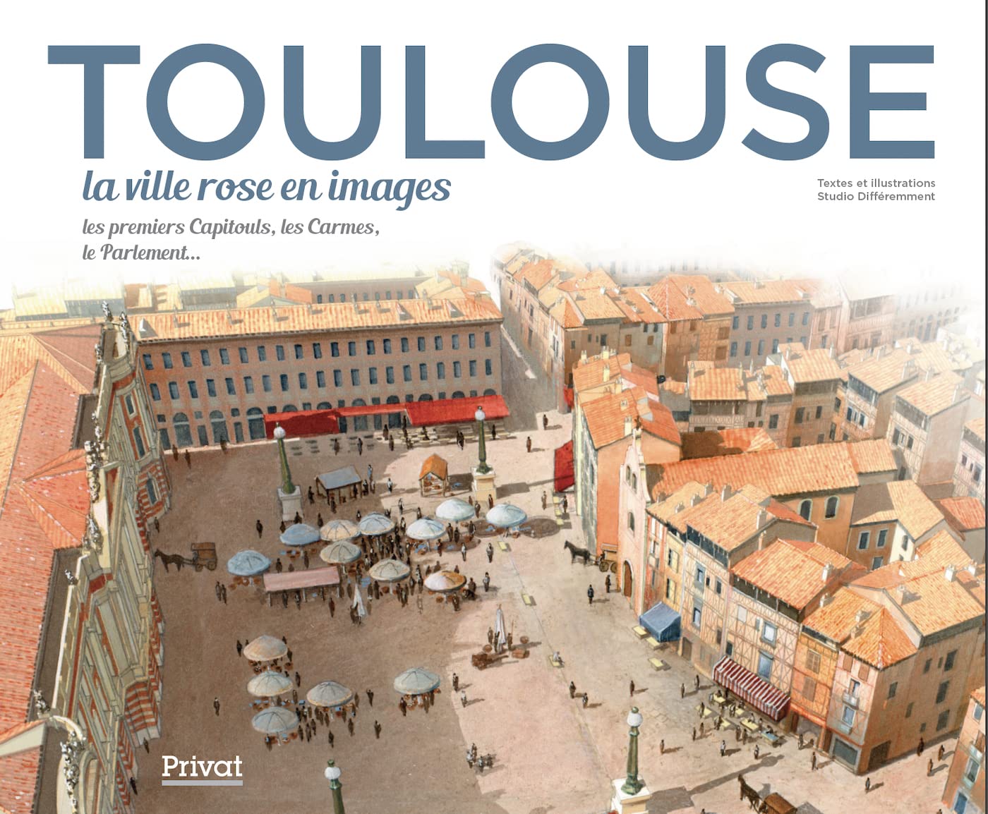 TOULOUSE, la ville rose en images: La ville rose en images - Les premiers Capitouls, les Carmes, le parlement... Film, Art & Culture