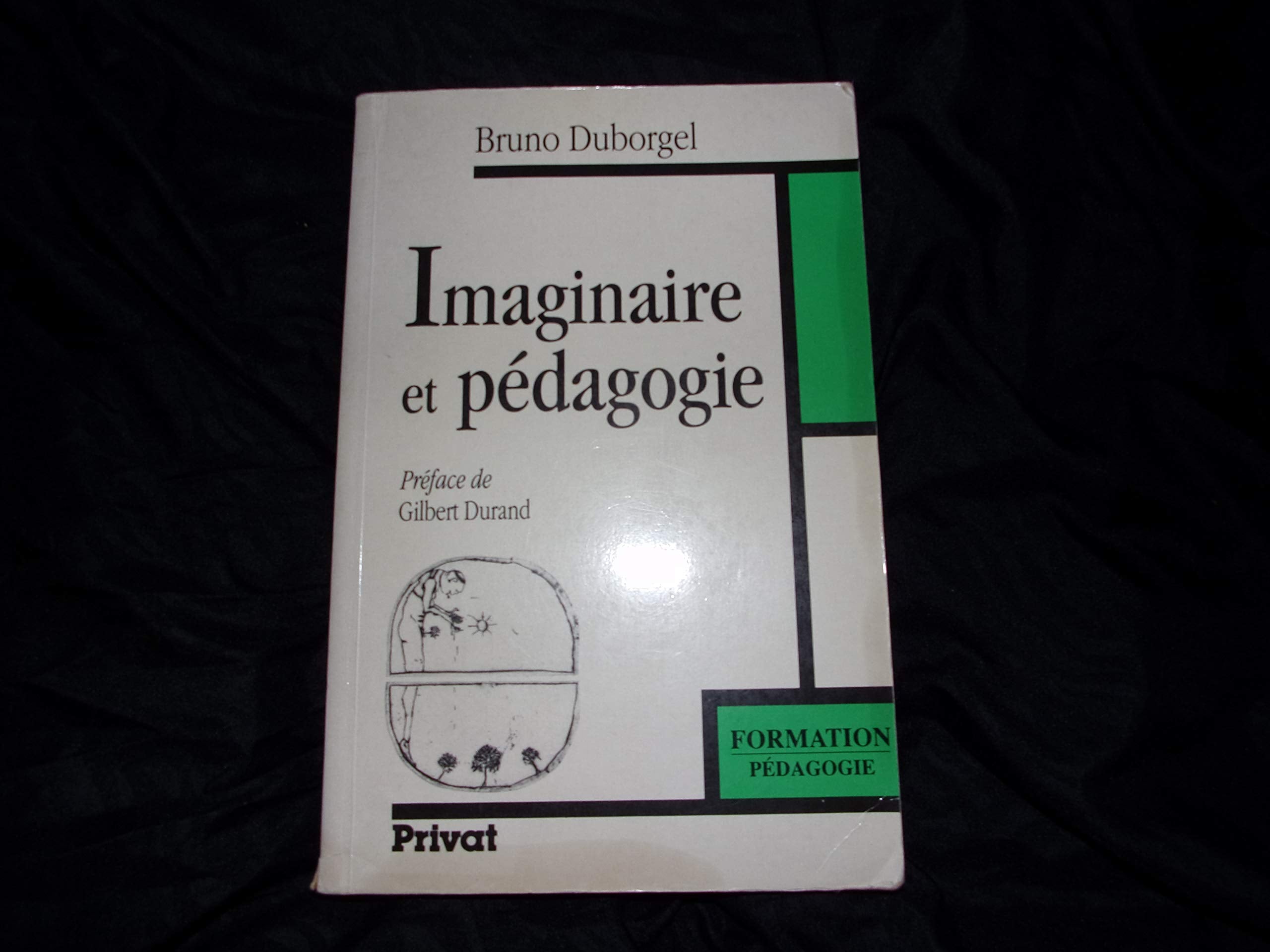 Imaginaire Et Pedagogie. De L'Iconoclasme Scolaire A La Culture Des Songes book