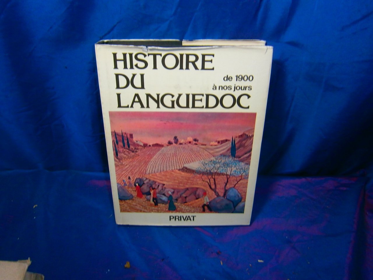 Histoire du Languedoc: De 1900 à nos jours (La Passé présent) book