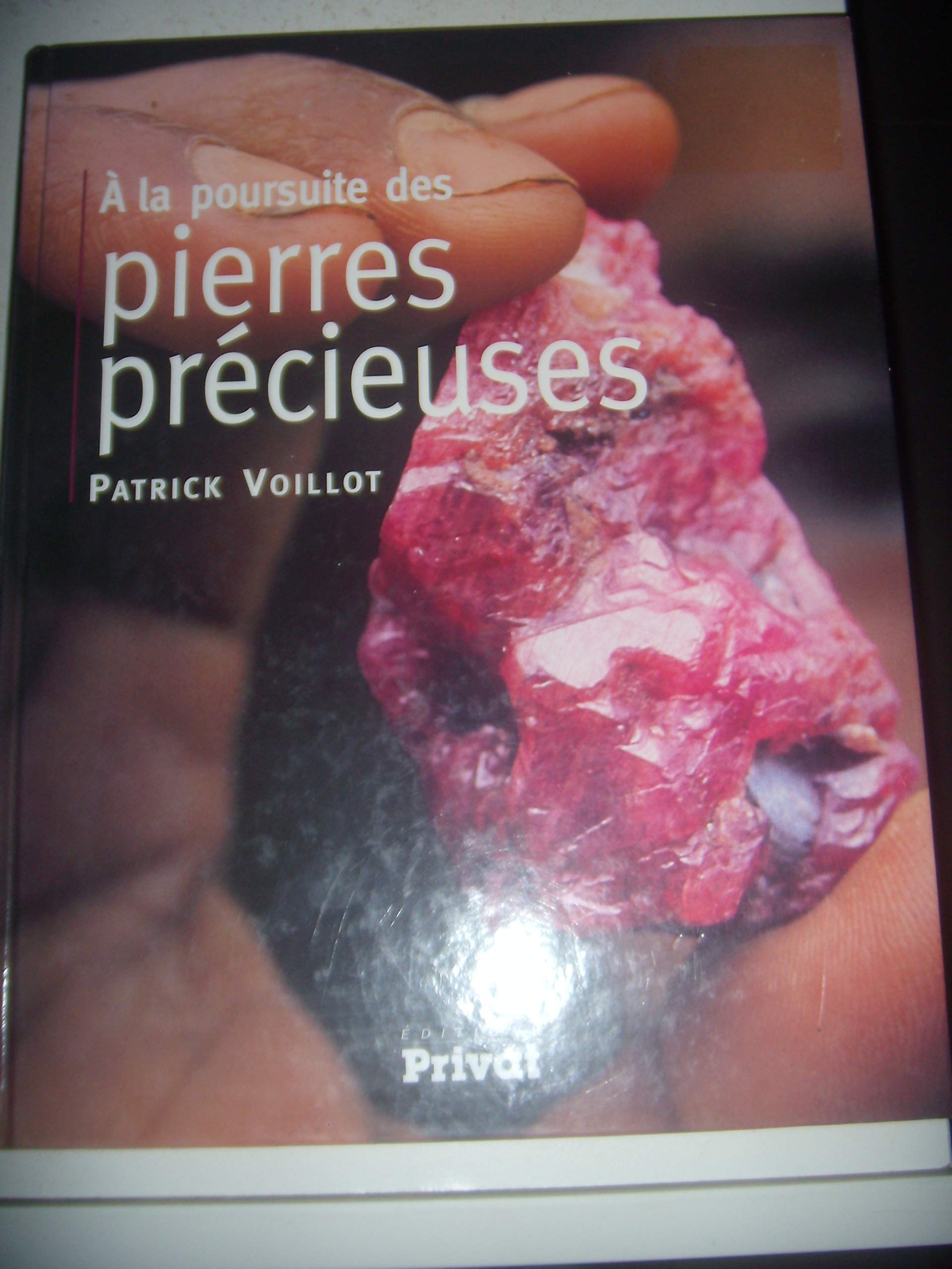 a la poursuite des pierres precieuses (0) Business & Technology