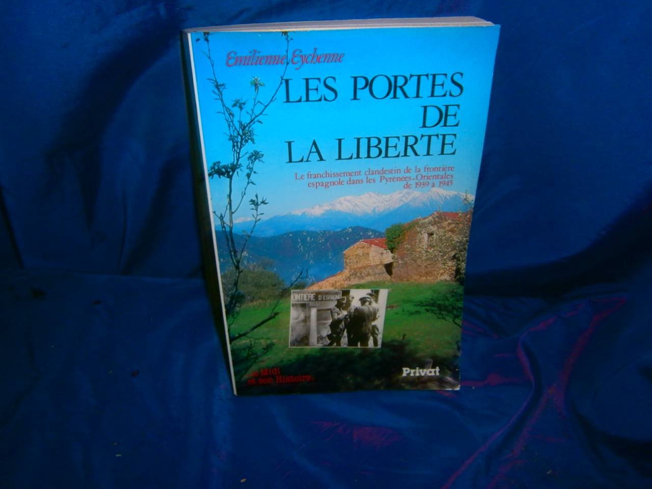 Les Portes de la liberté : le franchissement clandestin de la frontière espagnole dans les Pyrénées-Orientales de 1939 à 1945 Books