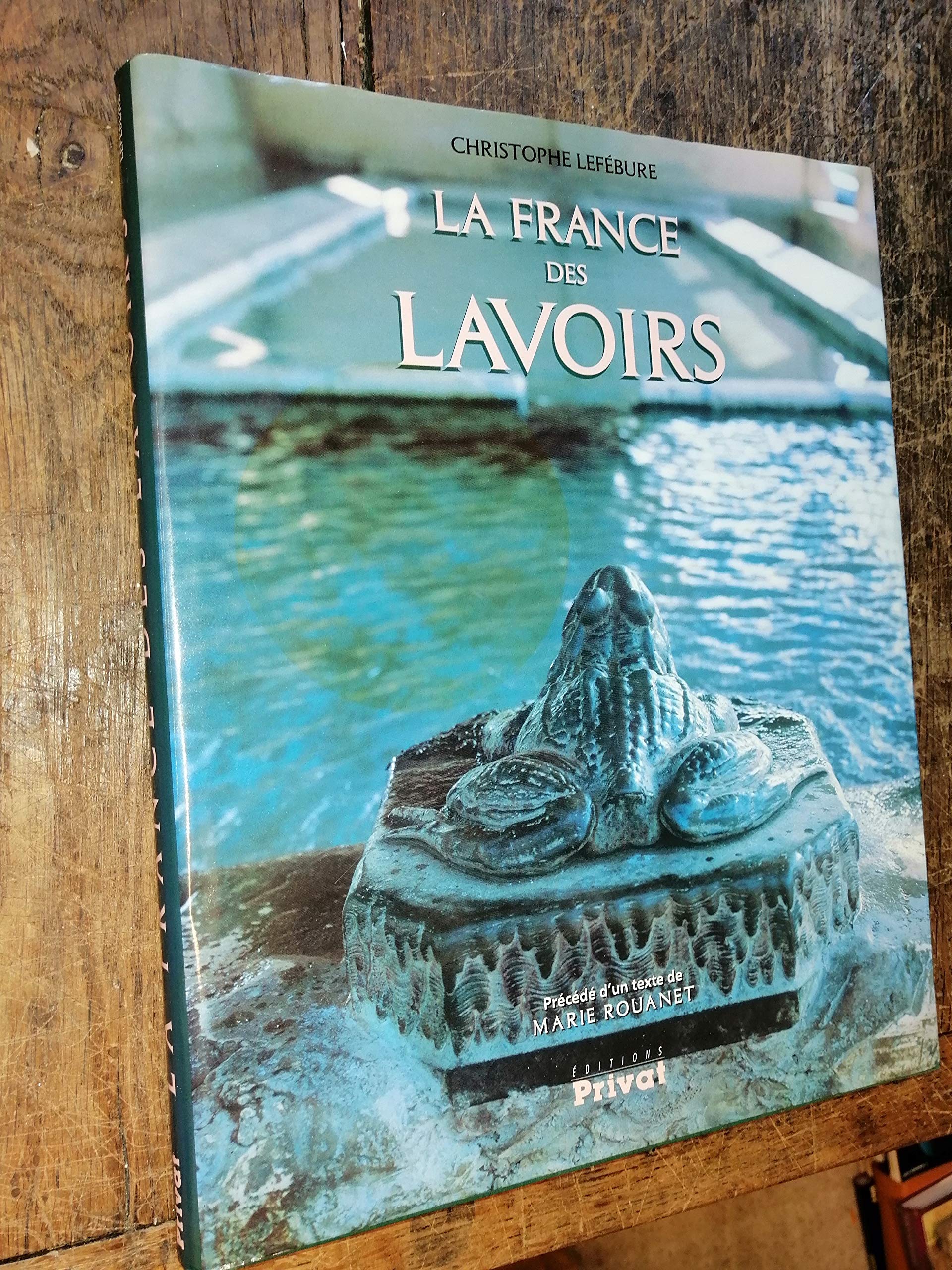 La France des lavoirs book