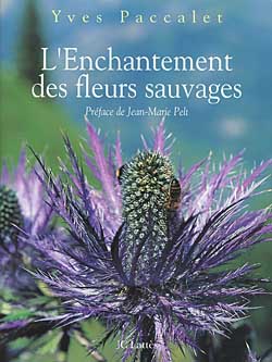 L'enchantement des fleurs sauvages Film, Art & Culture