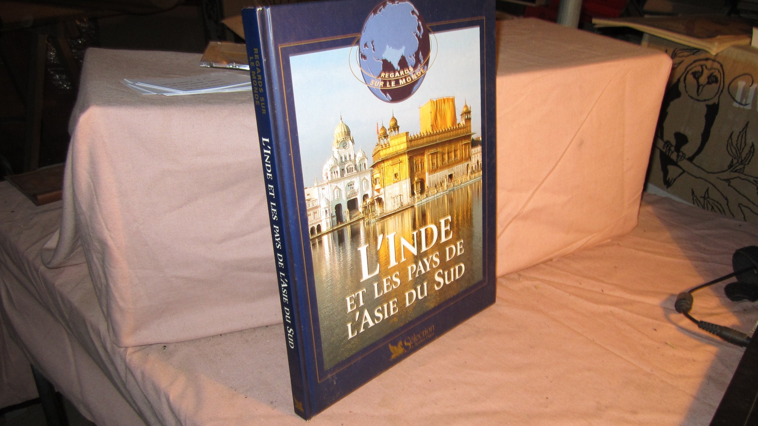 L'Inde et les pays de l'Asie du Sud (Regards sur le monde) book