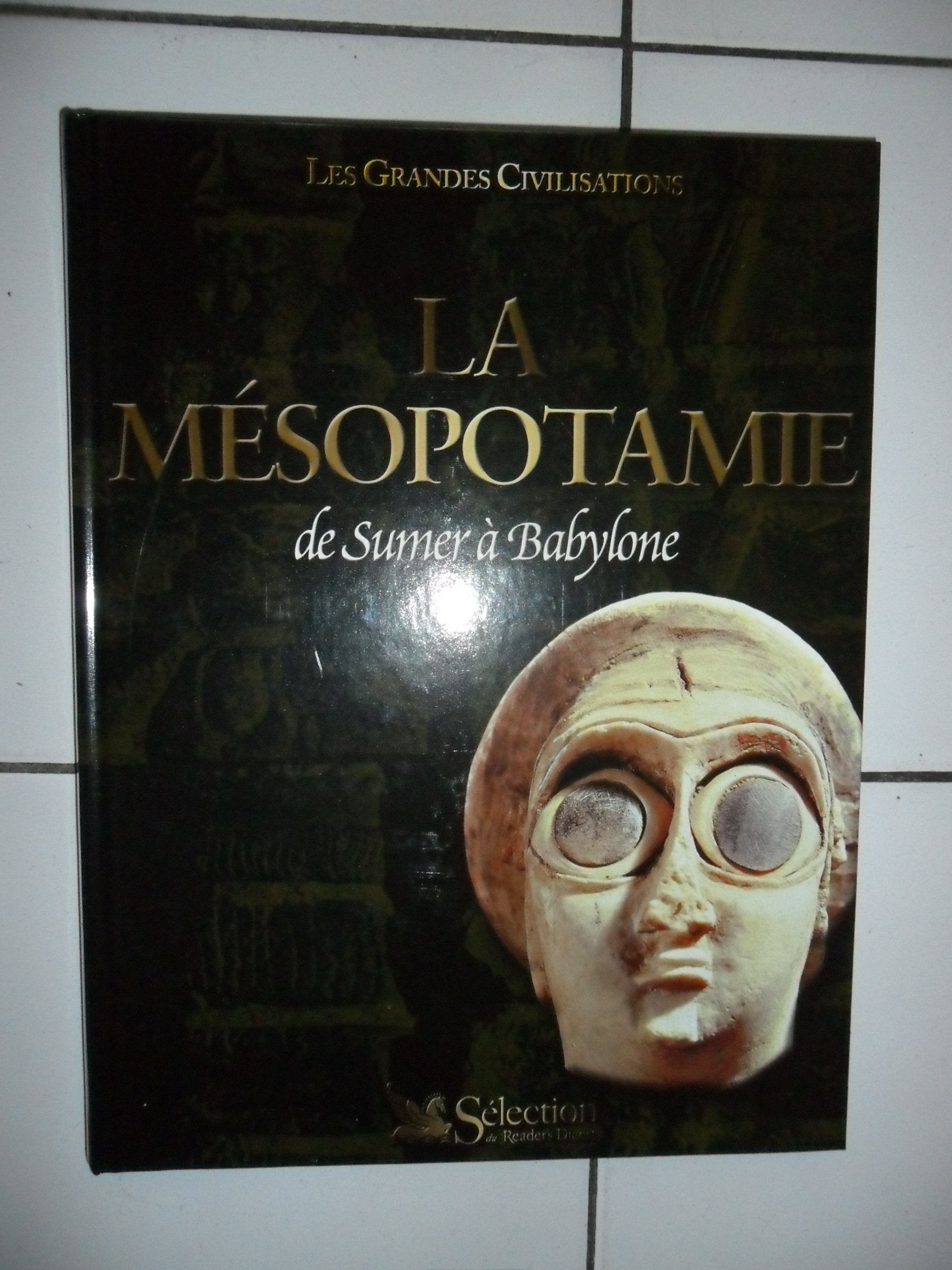 La Mésopotamie : De Sumer à Babylone (Les grandes civilisations) Books