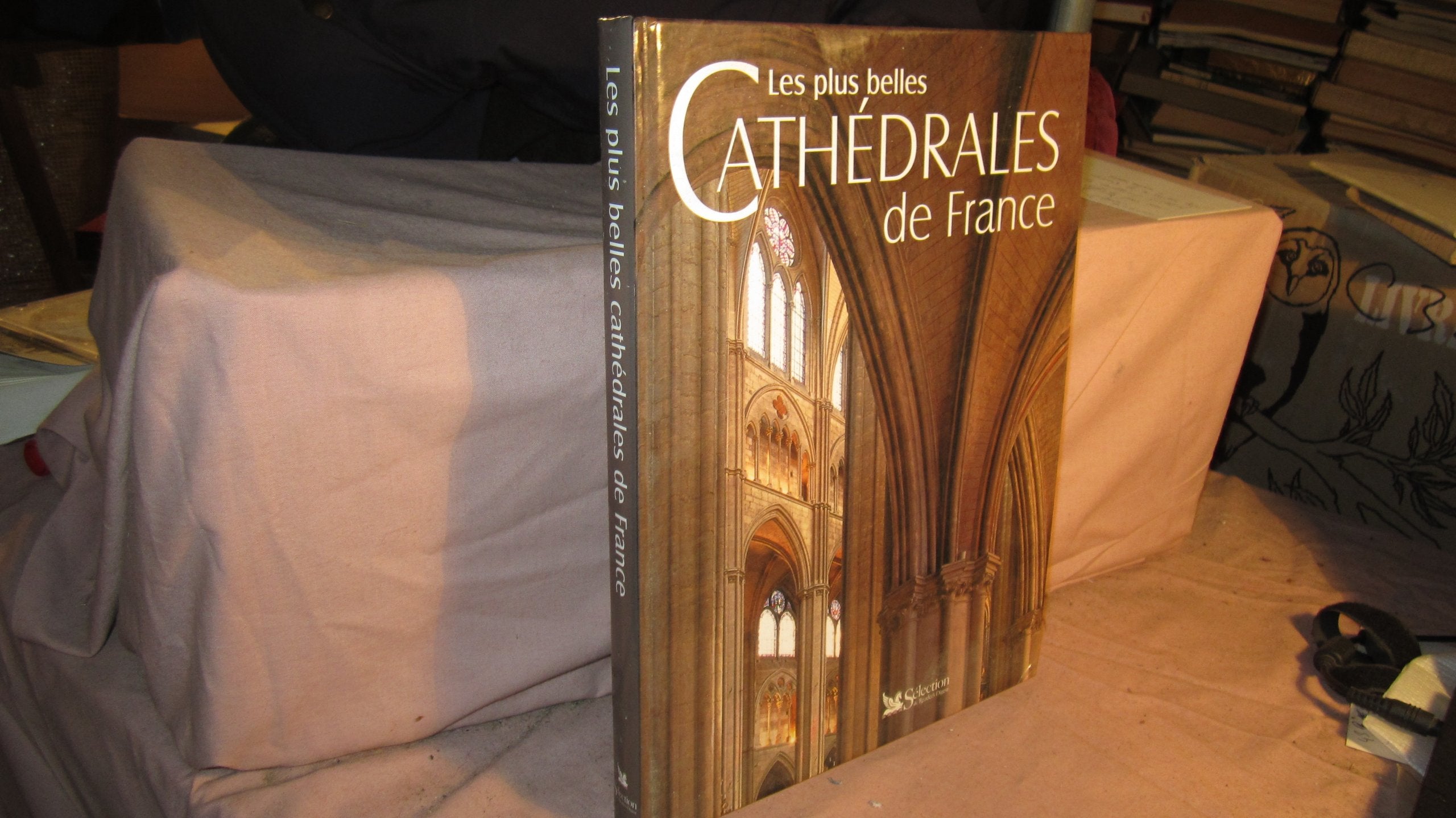 Les Plus Belles Cathédrales de France book