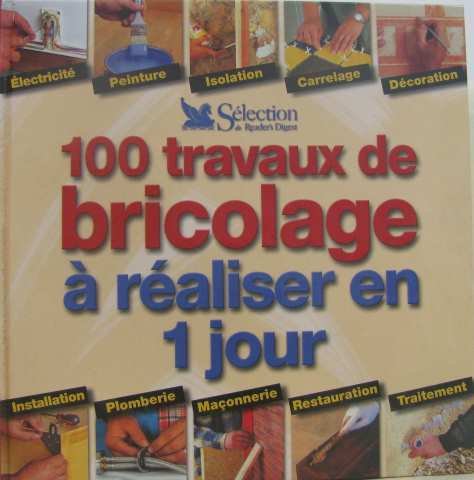100 travaux de bricolage à réaliser en 1 jour book