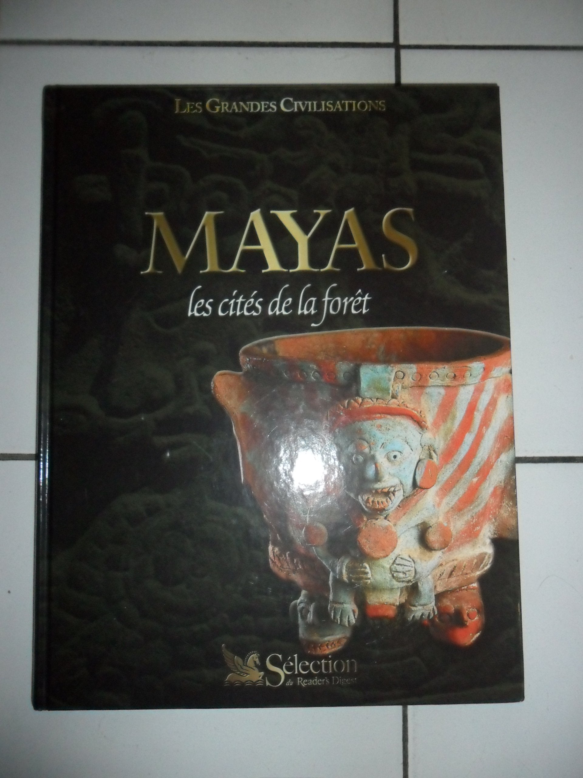 Mayas : Les cités de la forêt (Les grandes civilisations) book