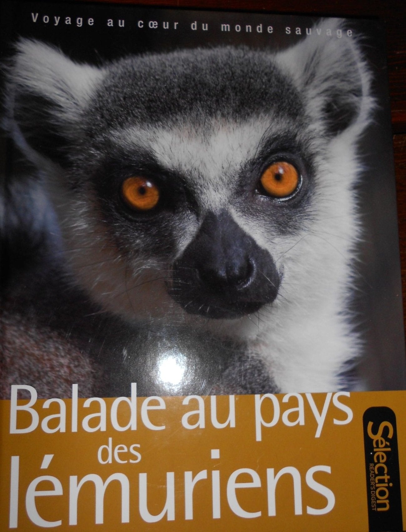 BALADE AU PAYS DES LEMURIENS Books