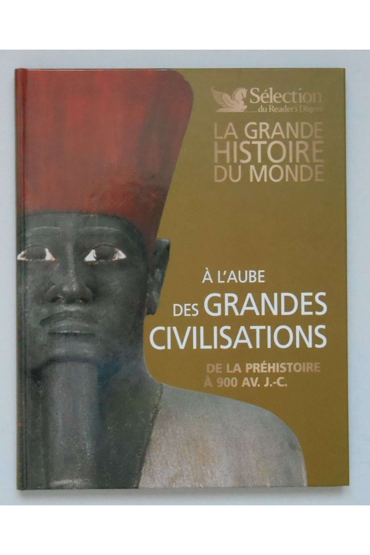 La grande histoire du monde : à l'aube des grandes civilisations - de la préhistoire à 900 av. J.C. book