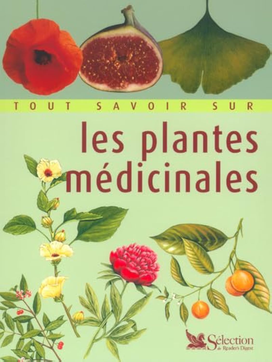 Tout savoir sur les plantes médicinales Health, Nutrition & Fitness