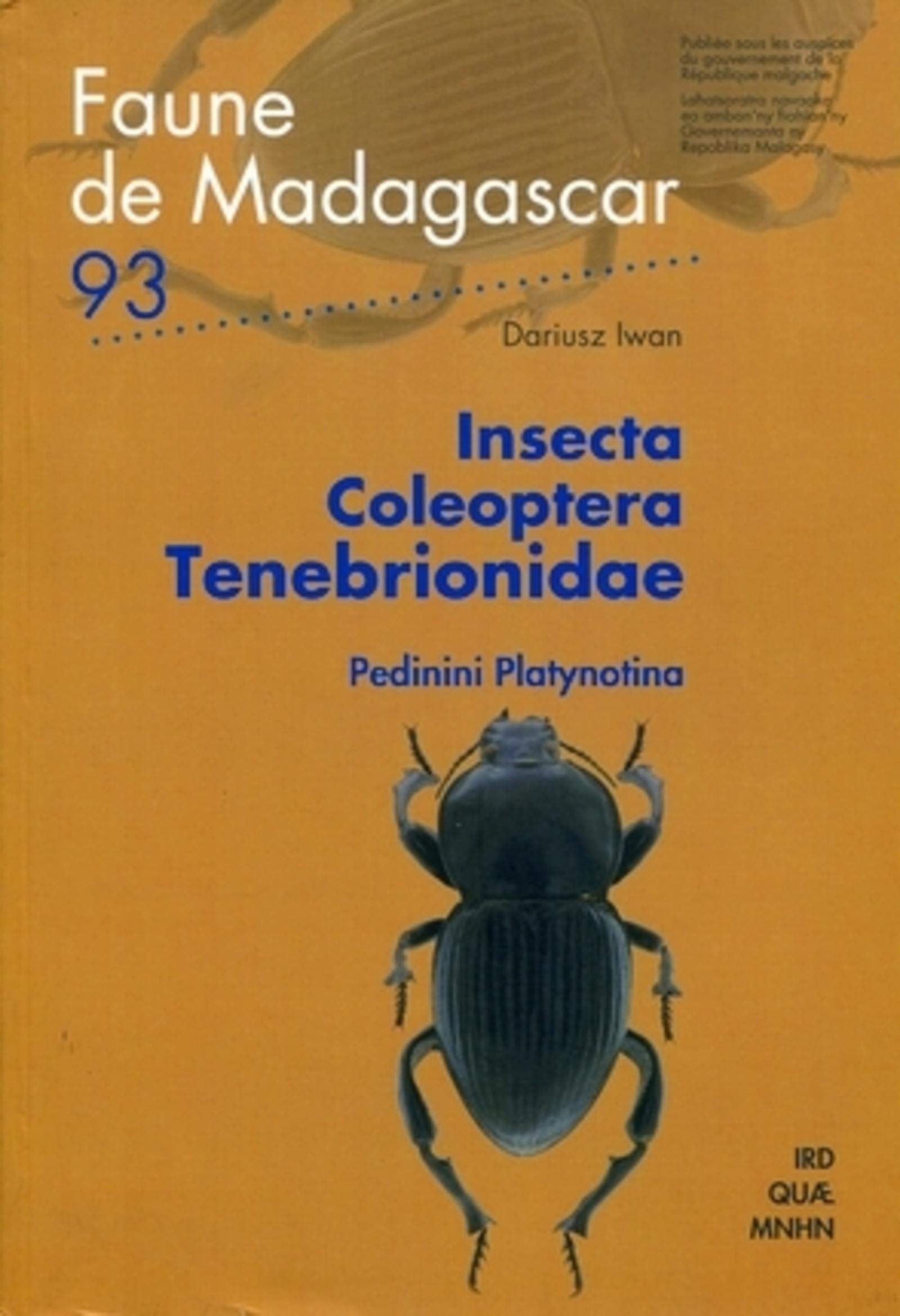 INSECTA COLEOPTERA TENEBRIONIDAE. PEDININI PLATYNOTINA. NO93: PEDININI PLATYNOTINA Film, Art & Culture
