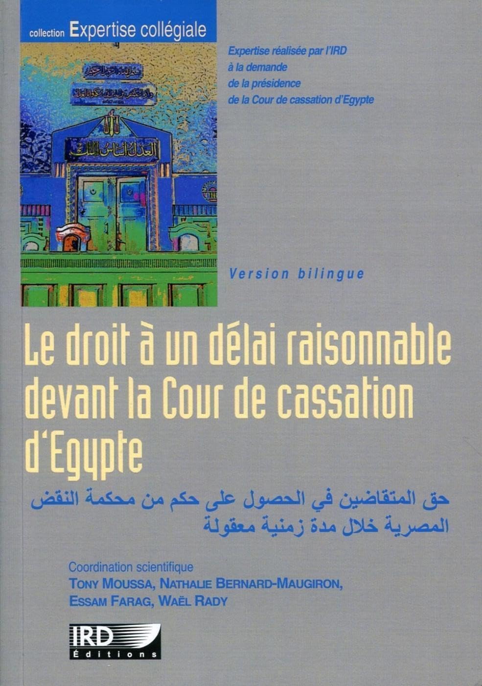 Le droit à un délai raisonnable devant la cour de cassation d'Egypte: Bilingue français/arabe. book