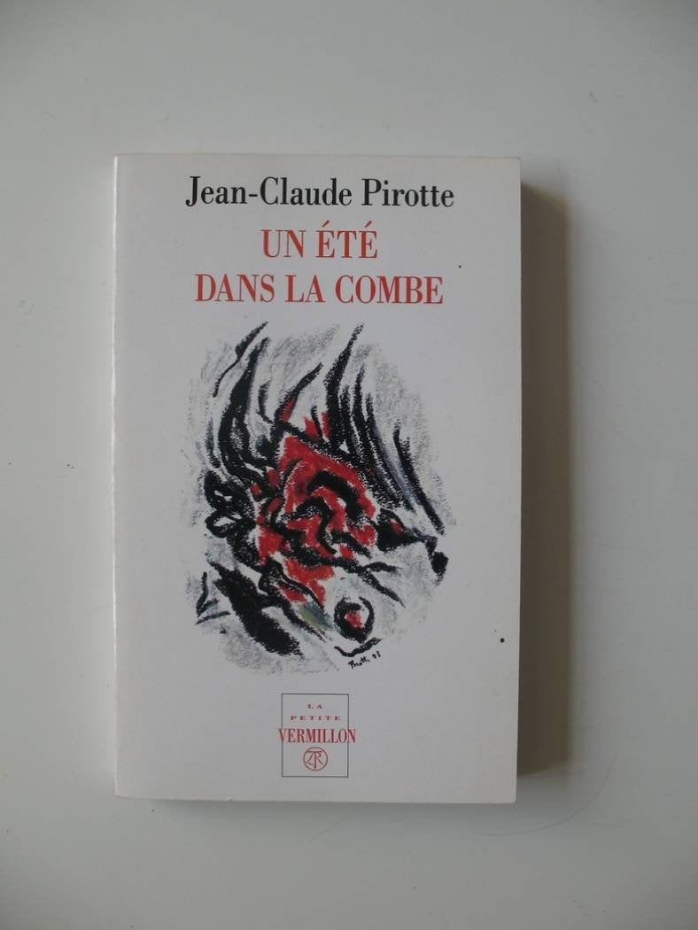 Un été dans la combe book