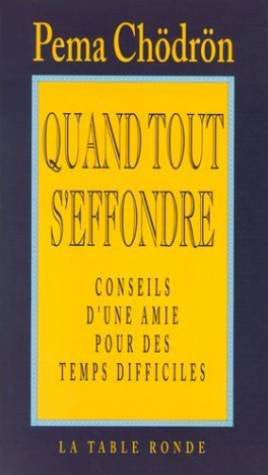 Quand tout s'effondre : conseils d'une amie pour des temps difficiles Books