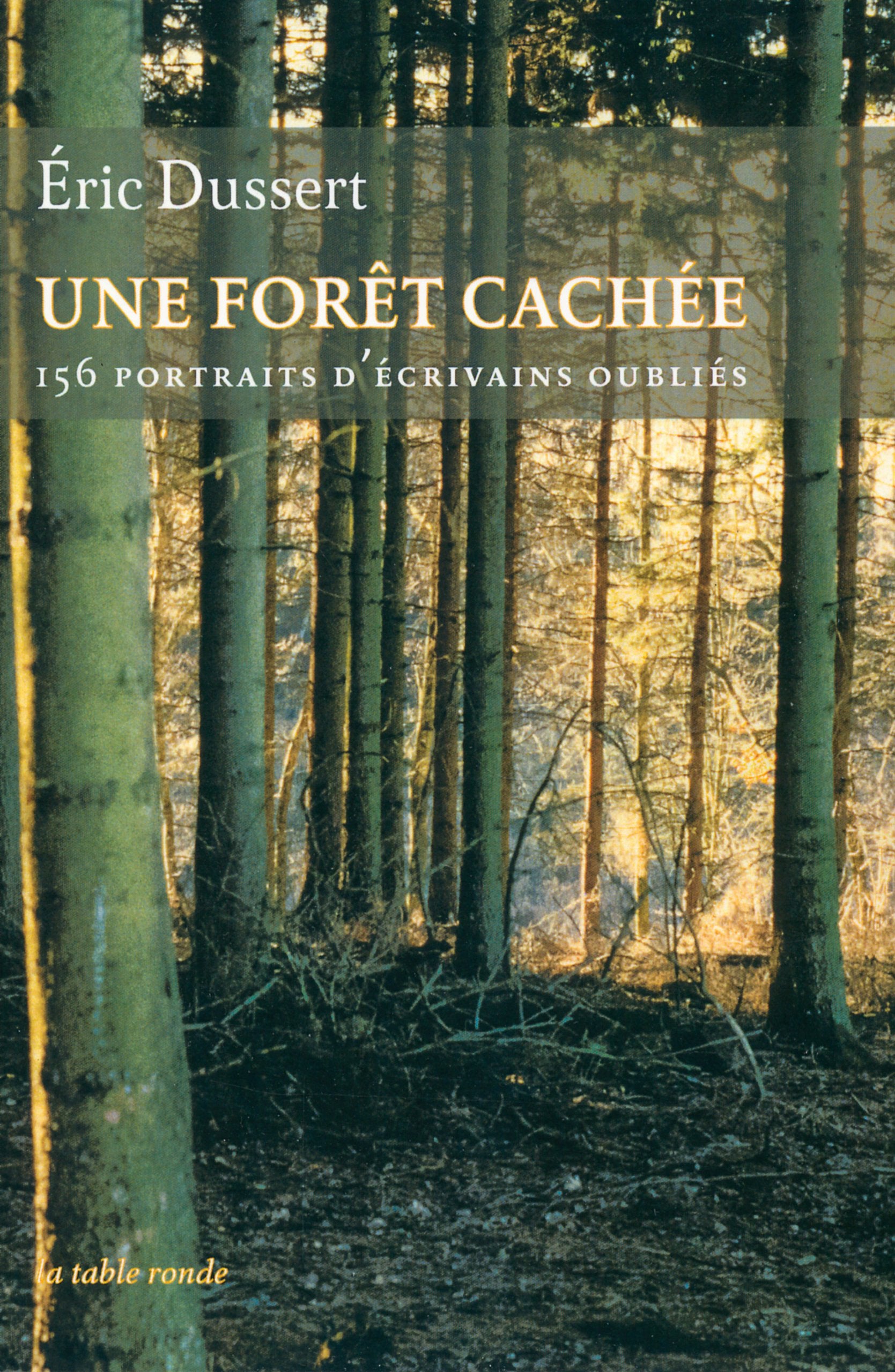 Une forêt cachée/Une autre histoire littéraire: 156 portraits d'écrivains oubliés Contemporary literature