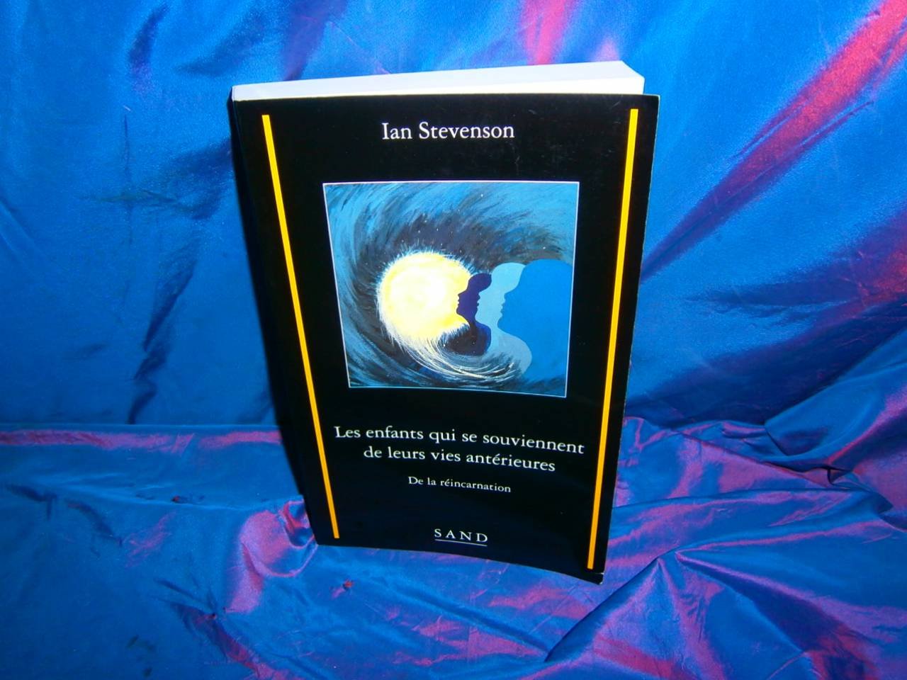 Les enfants qui se souviennent de leurs vies antérieures : de la réincarnation Religion & Esotericism