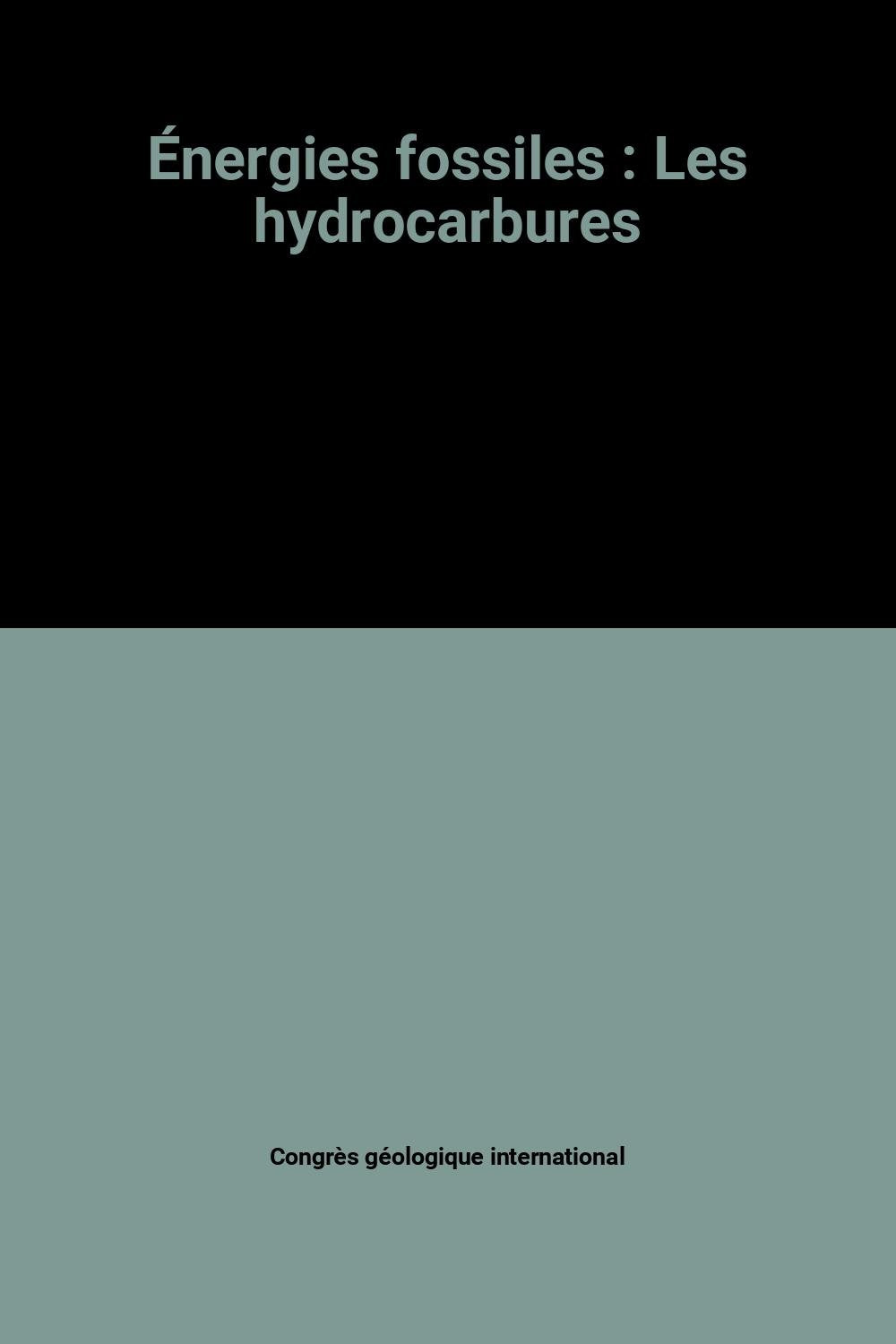 Énergies fossiles : Les hydrocarbures book