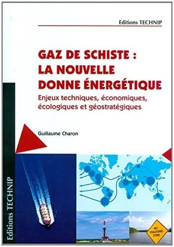 Le Gaz de Schiste: Enjeux techniques, économiques, écologiques et géostratégiques Books