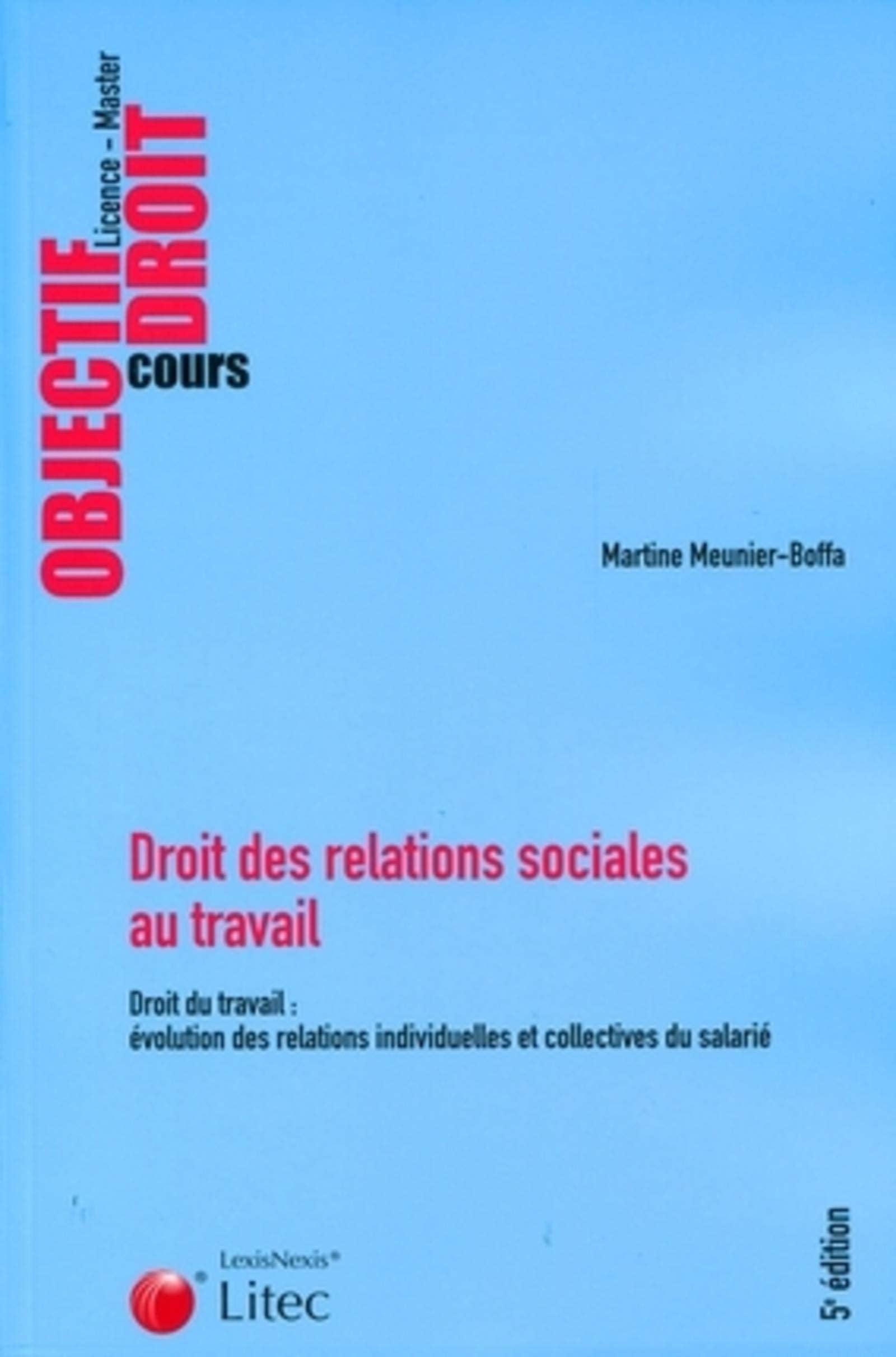 droit des relations sociales au travail book