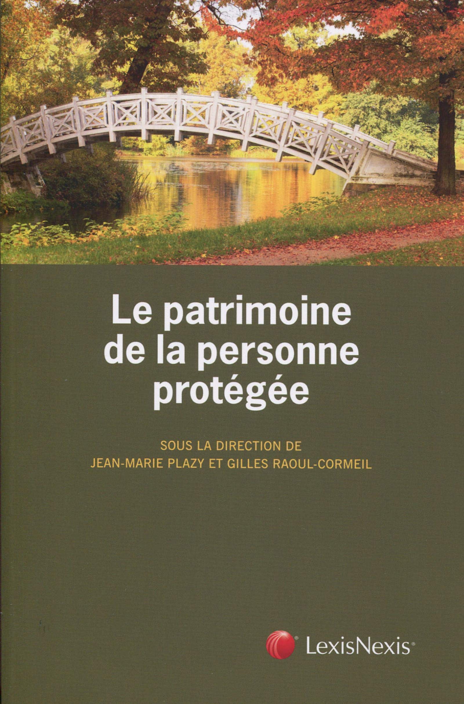 Le patrimoine de la personne protégée book
