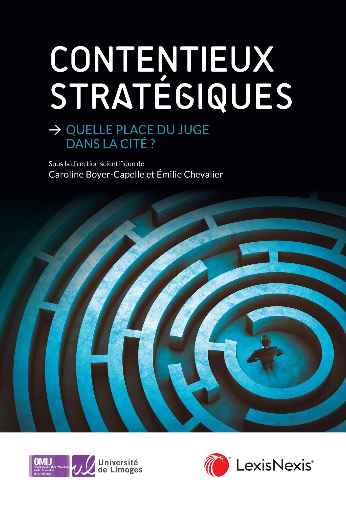 CONTENTIEUX STRATEGIQUES: QUELLE PLACE DU JUGE DANS LA CITE ? book
