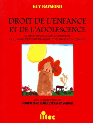 Droit de l'enfance et de l'adolescence : le droit français est-il conforme à la convention internationale des droits de l'enfant ? book