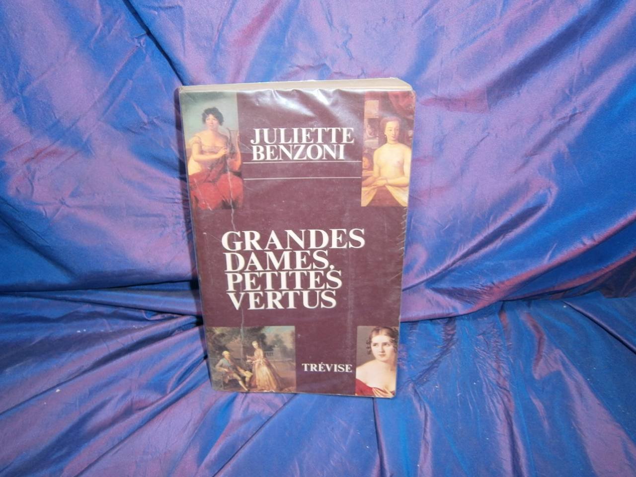 Grandes dames, petites vertus : Récits historiques book