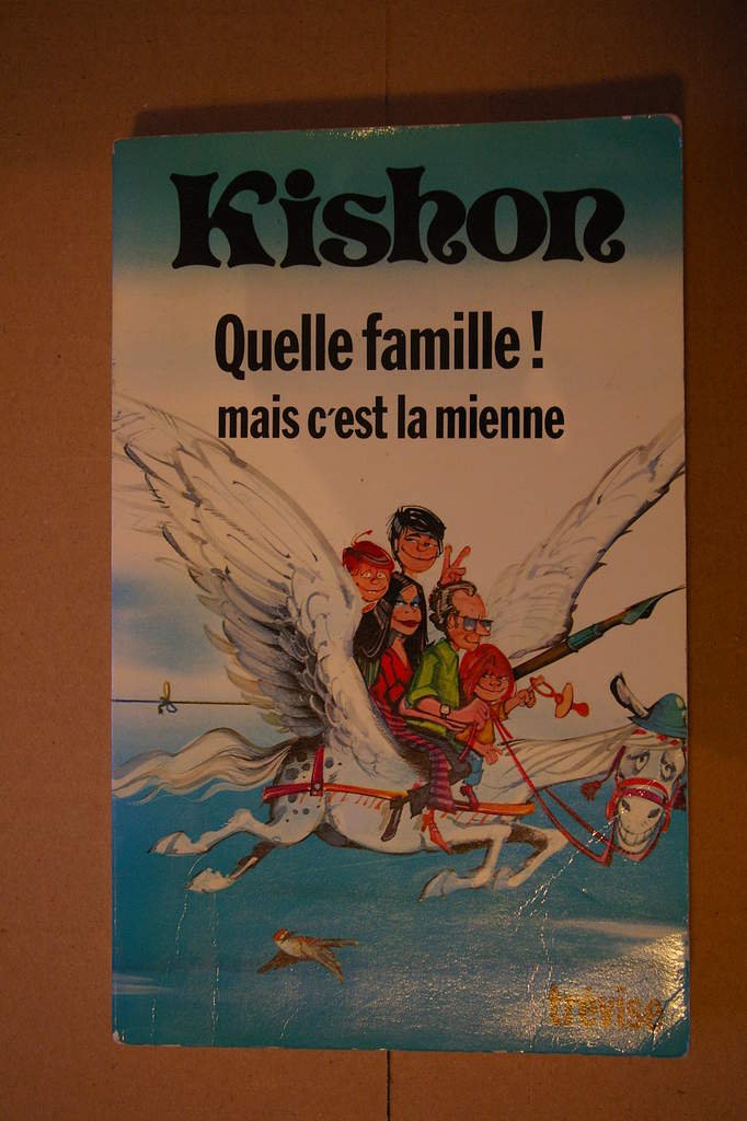 Quelle famille ! mais c'est la mienne Books