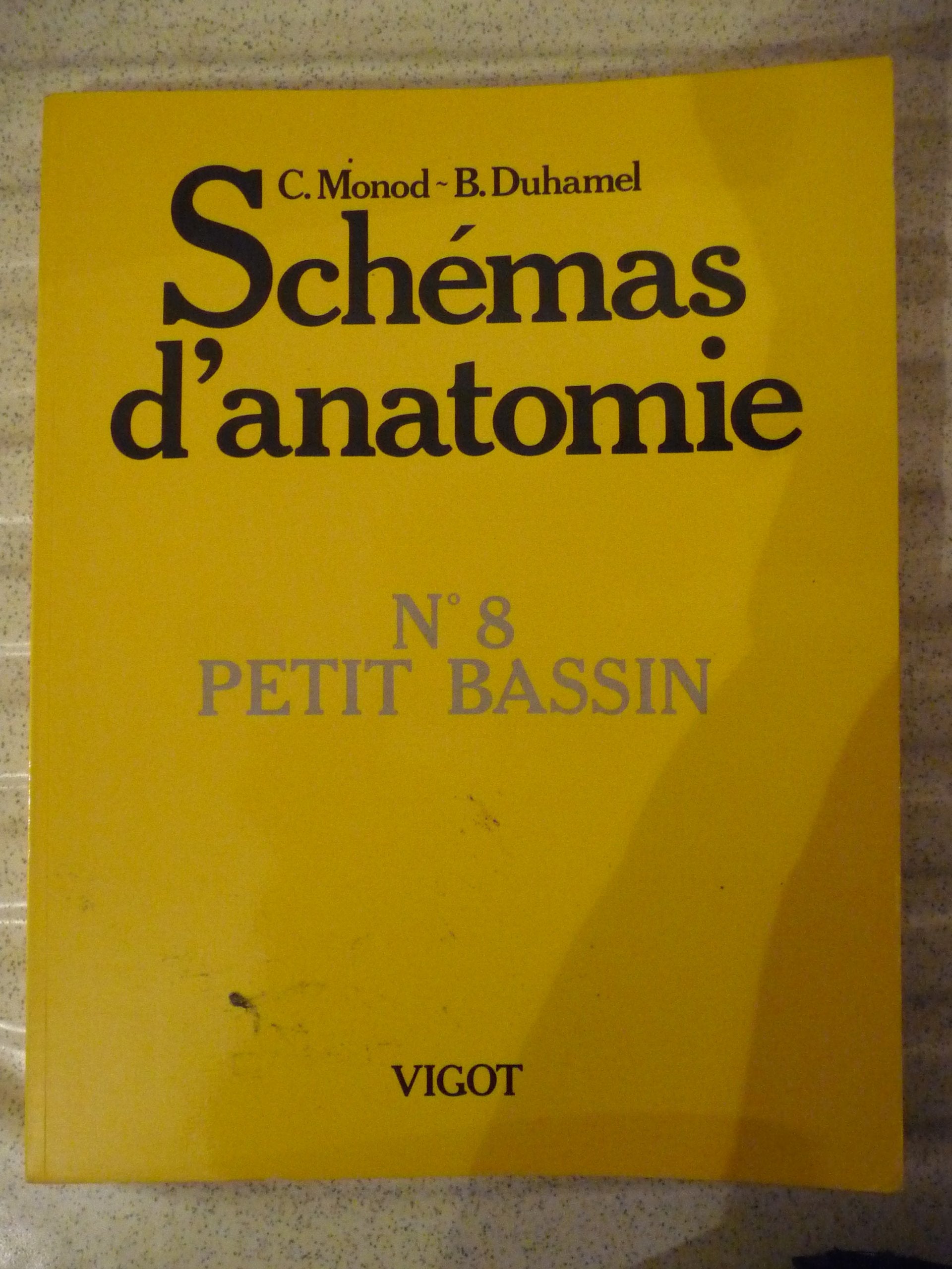 Schémas d'anatomie. Vol. 8. Petit bassin book