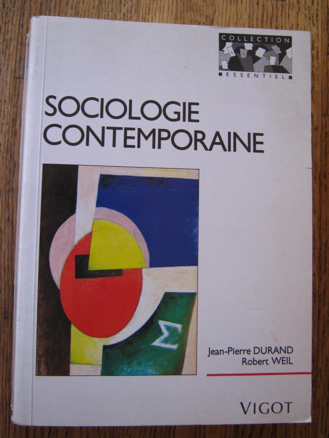 Sociologie contemporaine Books