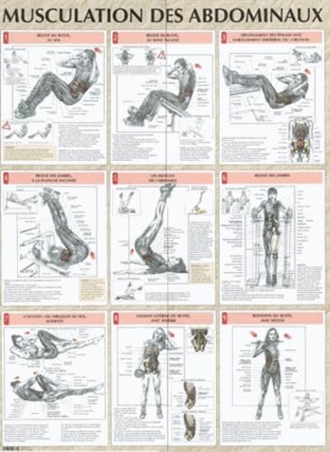 Musculation des abdominaux planche plastifiée (0000) book