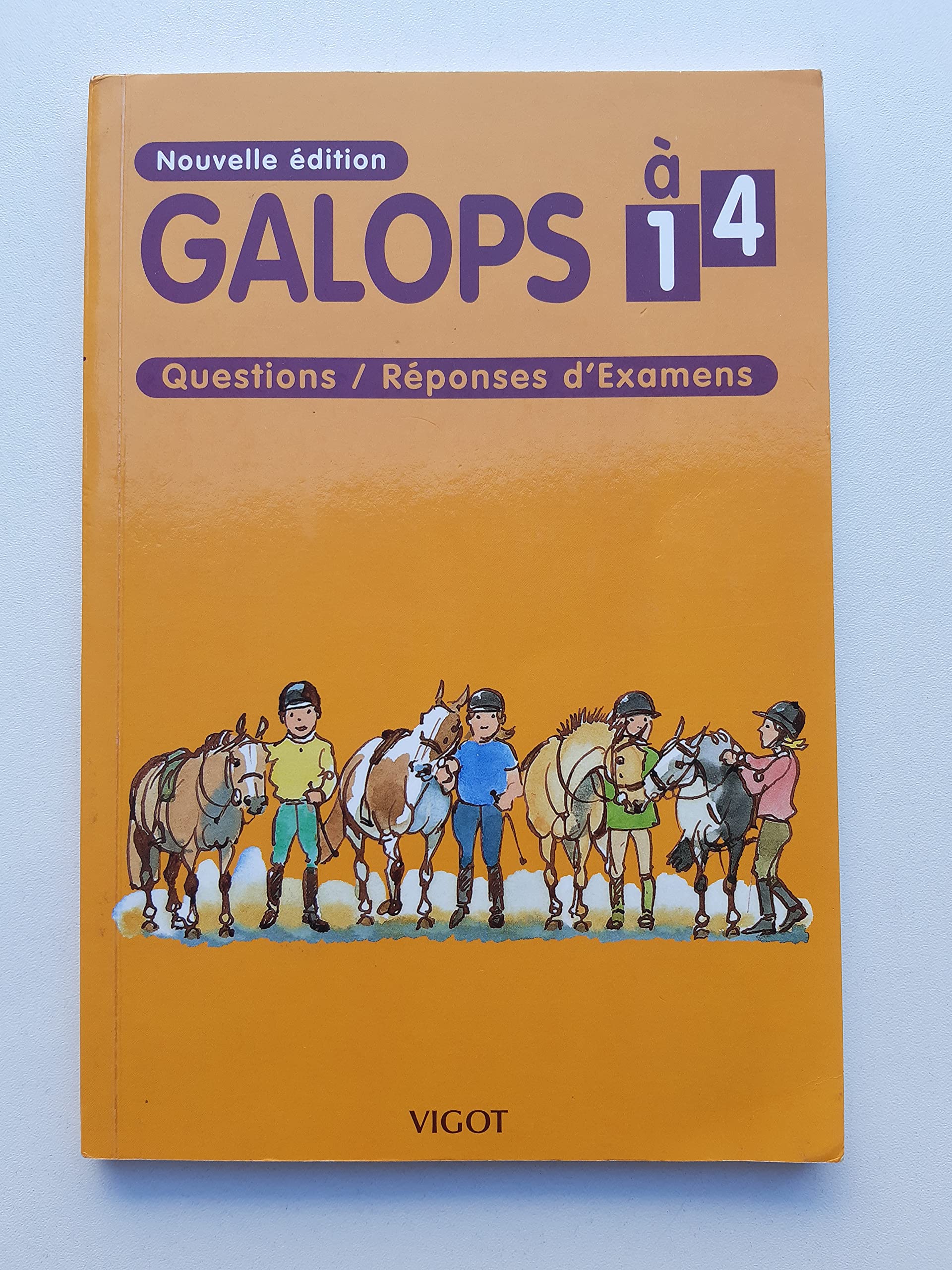 Galops 1 à 4: Questions/Réponses d'Examens Leisure & Fun