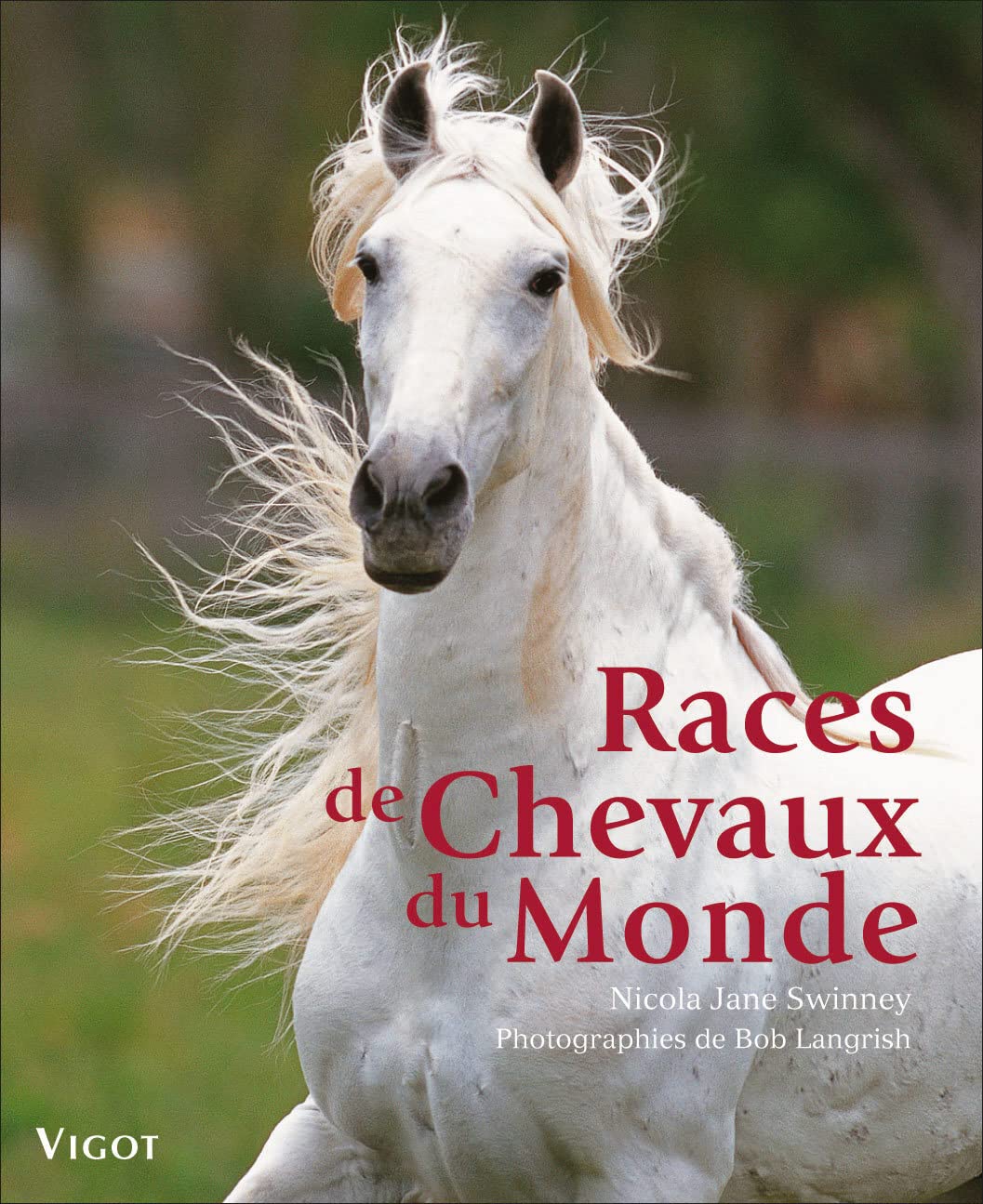 Races de chevaux du monde Leisure & Fun