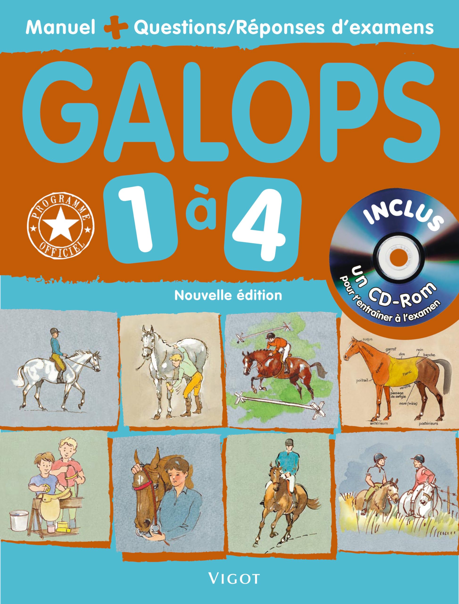 Galops 1 à 4: Manuel des examens d'équitation book