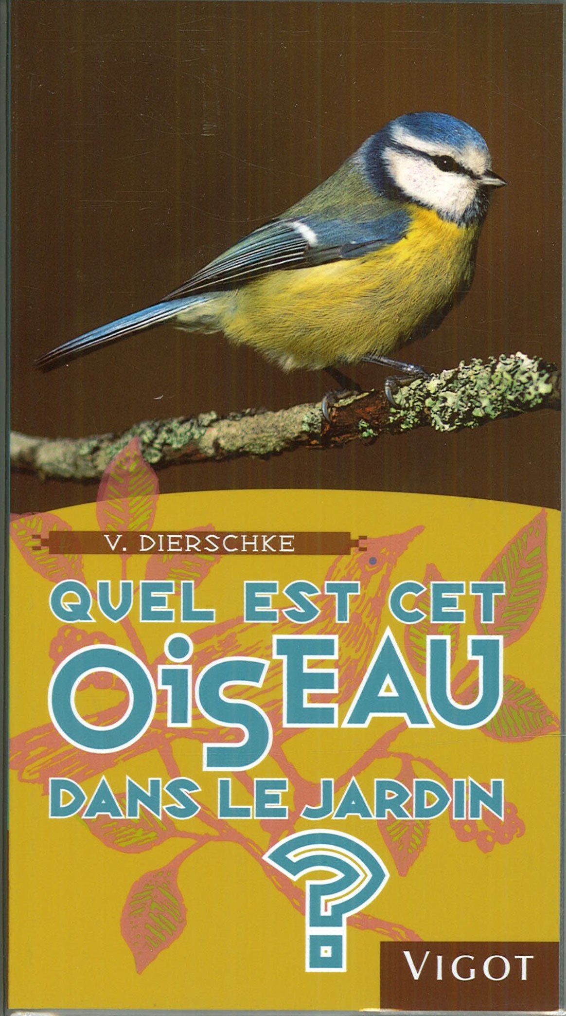 Quel est cet oiseau dans le jardin ? Leisure, Home & Garden