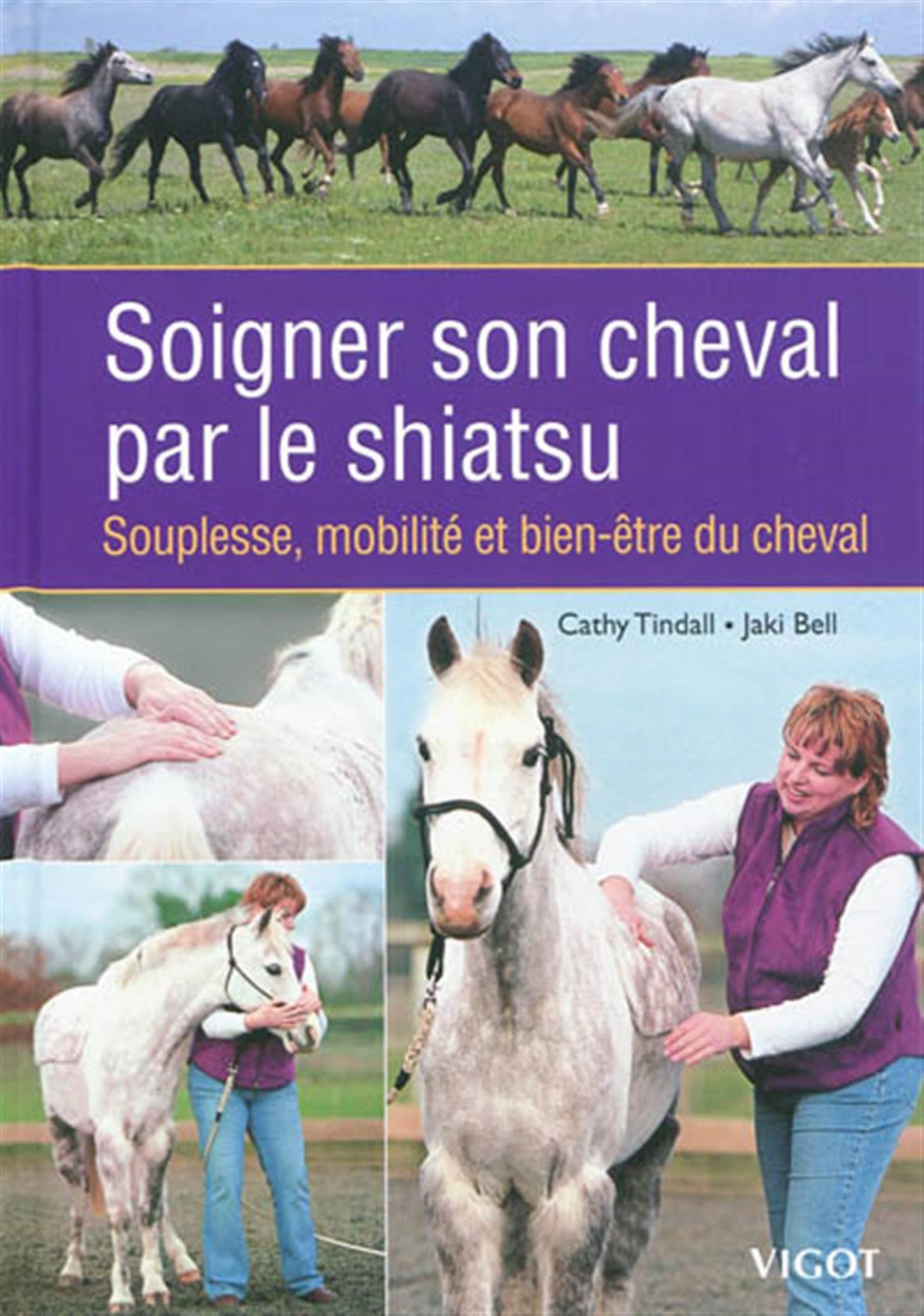 Soigner son cheval par le shiatsu: Souplesse, mobilité et bien-être du cheva (0000) book