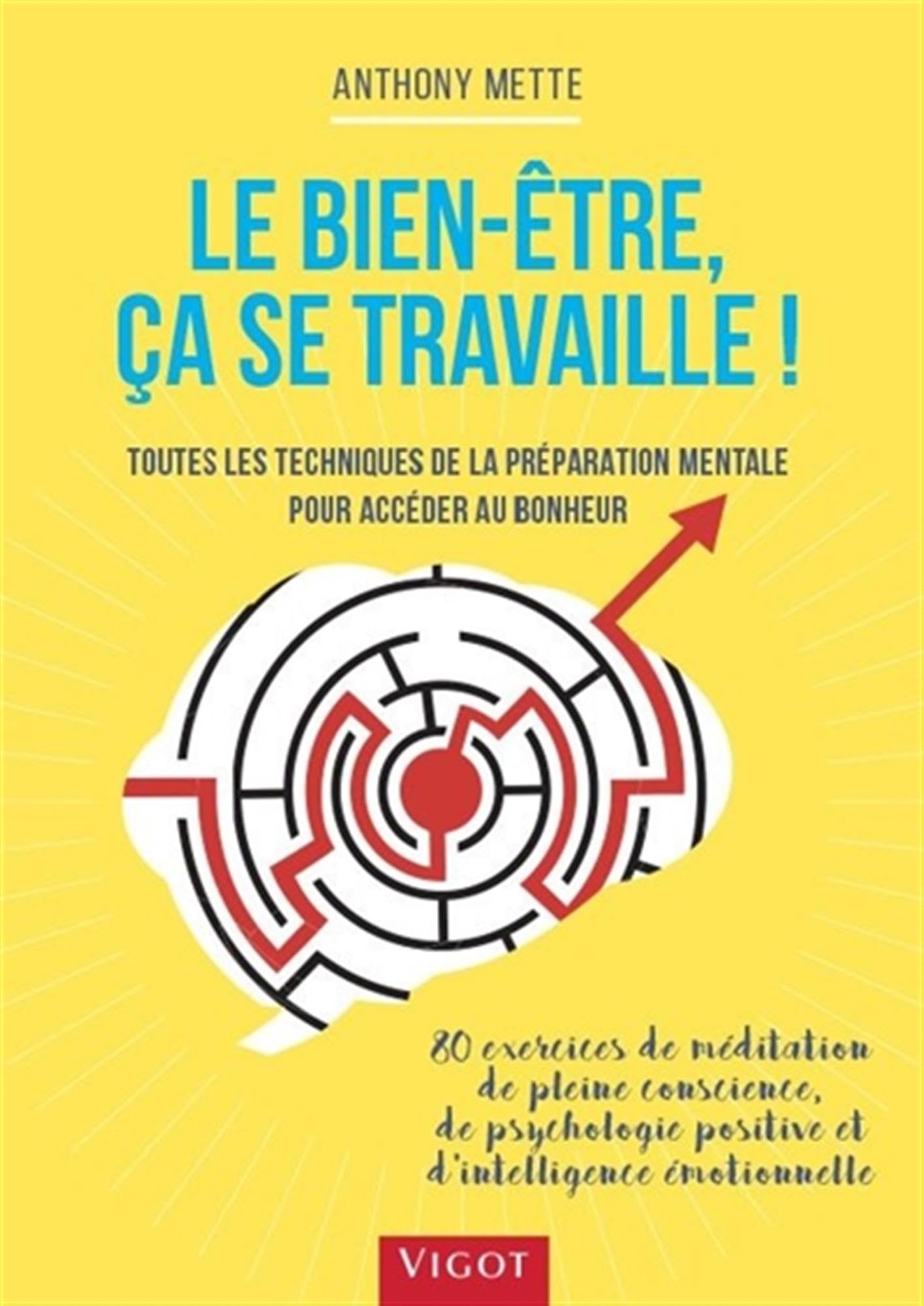 Le bien-être, ça se travaille !: Toutes les techniques de la préparation mentale pour accéder au bonheur Books