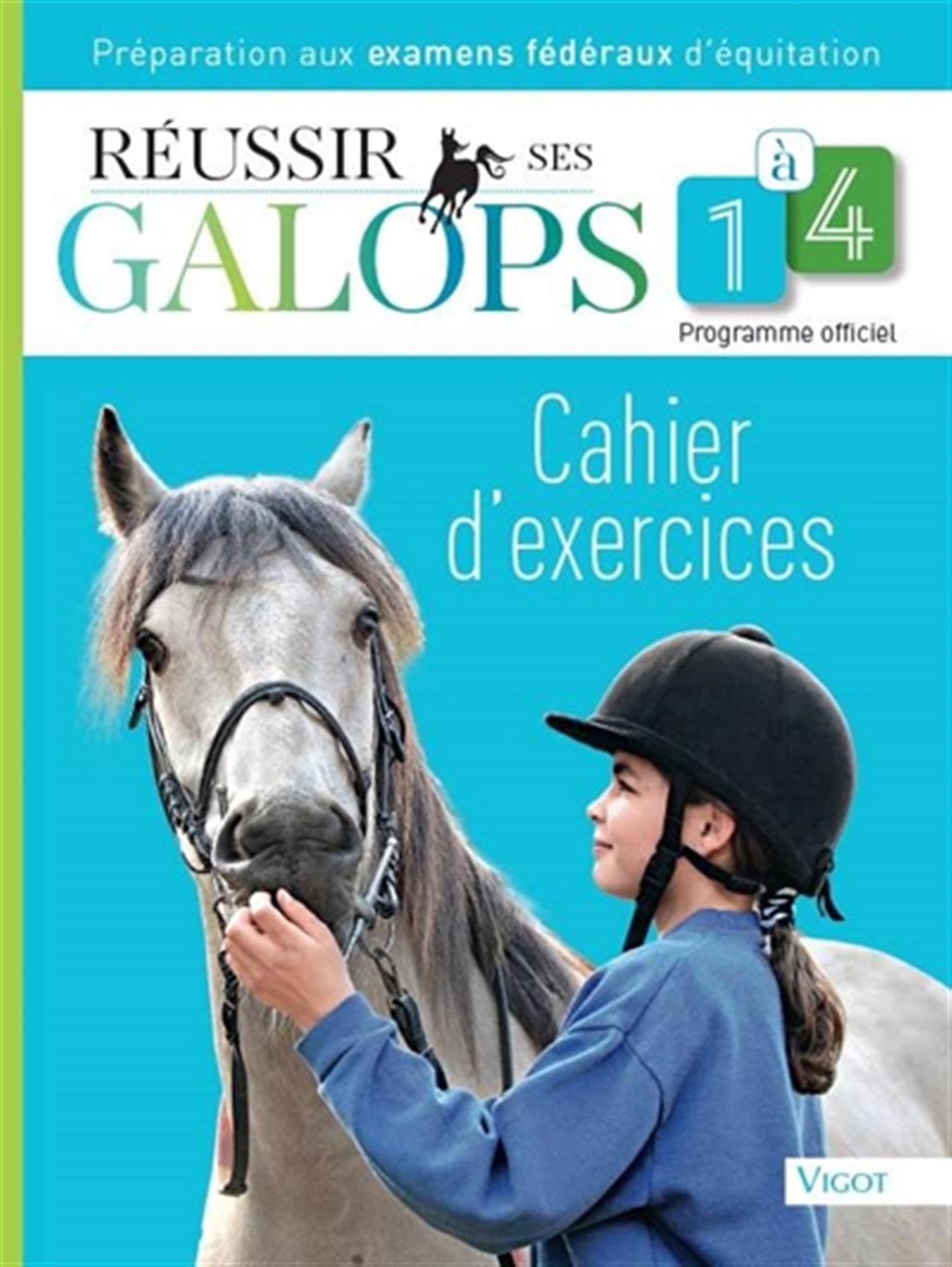 Réussir ses galops 1 à 4 : cahier d'exercices Leisure & Fun